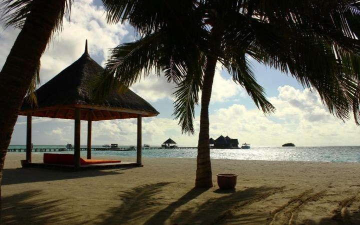 My idea of a perfect day