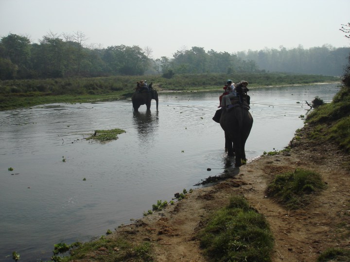 The Elephant Safari at Chitwan National Park